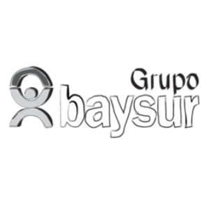 Profile photo of BAYSUR S.R.L